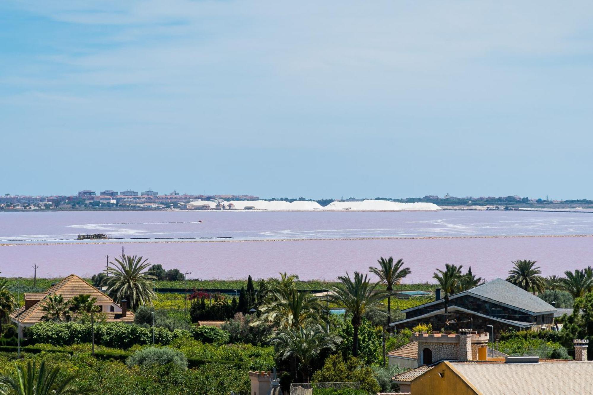 לוס מונטסינוס Aparthotel Laguna Rosa מראה חיצוני תמונה